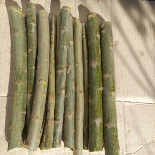 IMG-8b1c7e600fe9bef0220d76410e19dd2f-V