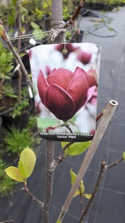 IMG-8b449df1cb3748e4efcd5d1250646588-V