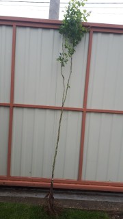 IMG-96858dee95ddc724d1e43eba778cd29b-V