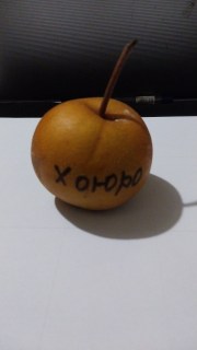 IMG-9d968b629926e79bef1f2e3908159e8f-V