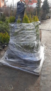 IMG-9eb3f30b3a959d31258be02fd570d1ef-V