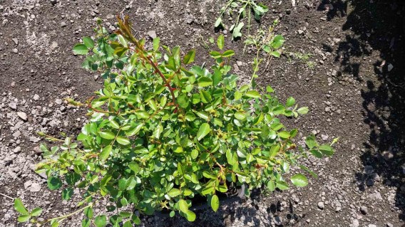 IMG-9f198d748deb94b5b3e4a38c1e30480f-V