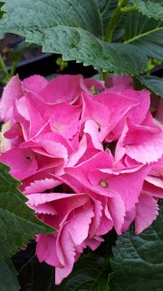 IMG-a08b7bdbb524bcfad2a72e66254d6b69-V