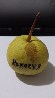 IMG-a101bfbacddf93eafeebfbc439fddd17-V