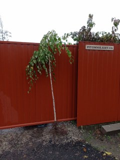 IMG-a3727ca067f5a5a2d3914aada971a7da-V