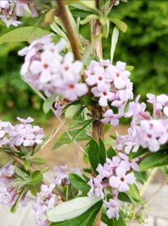 IMG-a9e1b3369b17a7de6dacbfce386ec45c-V