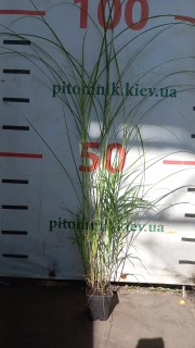 IMG-ab22e4f4d52c3a5fdc4a66f03208d449-V