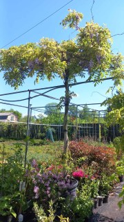 IMG-b0bf2775ee736e9b0383a80e848aa6c1-V