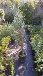 IMG-b0c4ea43cd38b7b07a6dc7e1b7297eb5-V