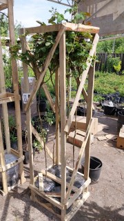 IMG-b29c07c1269336f9af6df865e07e6290-V11