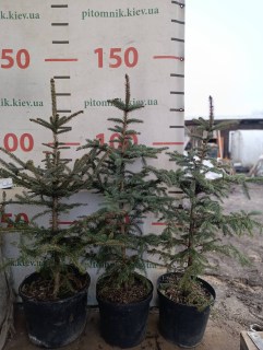 IMG-c755b6aef398e8dcbbaf7eb0b745e15a-V