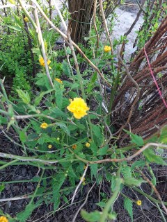 IMG-d0e7f19b0cefe89b78870012d2a0860f-V