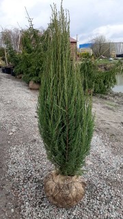 IMG-d8d2a34268bc3cae4d9dad0c502758df-V26