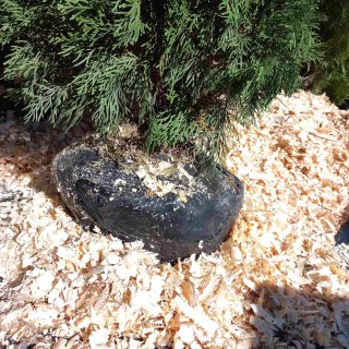 IMG-e0f81285fe8d54e936b14cc15c2c7853-V