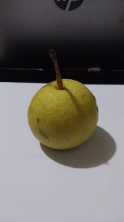 IMG-e45c07a0571c7416d67a54d7ae2cc3b9-V