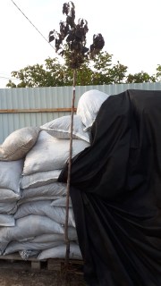 IMG-f6eb9f0923a3d7fd83d5b7d37a3d6107-V