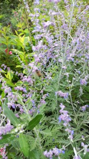 IMG-f7309dcd8d4c8e3b5acd97a8c44cbd1e-V