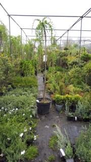 IMG-fae0d992c91c2769e0bee55d0e4169e7-V