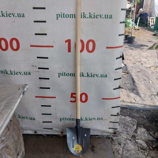 Лопата штикова американка з черенком