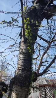 IMG_20230410_12580162039