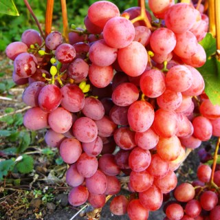 b1f484e8c27540e71c2ac551dd4eb330