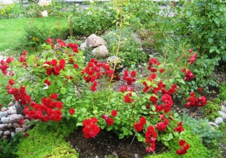 b66755e4-1641-11e8-8057-dffb95904c6c