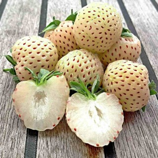 belyj-shved-2-500x500