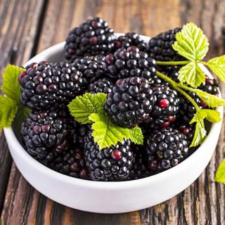 blackberry-plack-perl-02