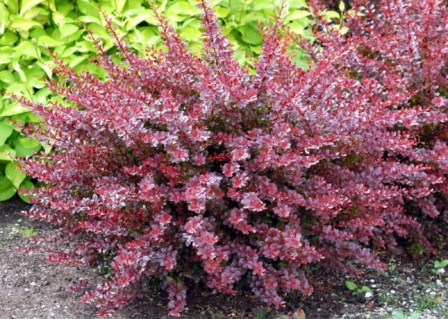 c45be7397bf99d13654fde2b24e557ed