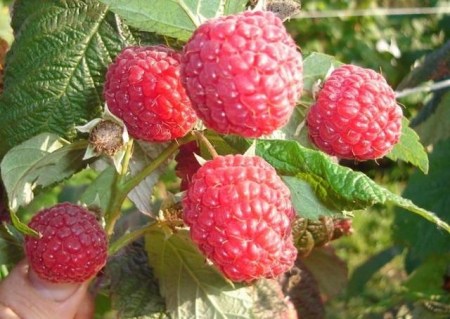 c4d6ae2632ef5a90825d7d261fdee413