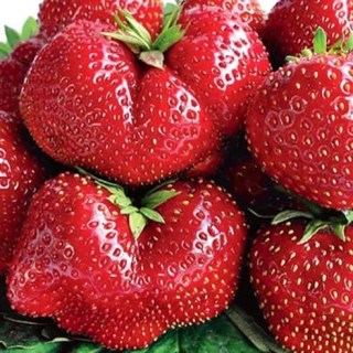 cdde2f245990fa431b7290001f150e99