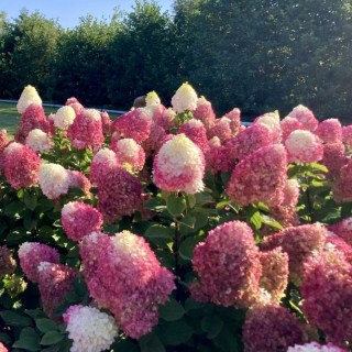 colourful-cocktail-03