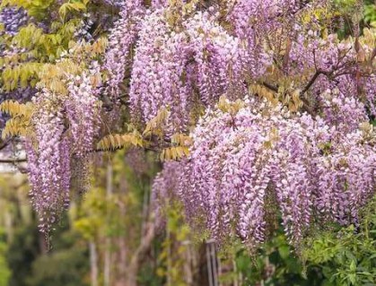 cqg7hhpgx56mgurrnzo5u47rxmrvoe8b