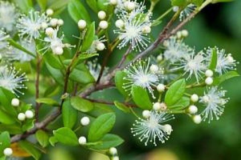 e330614789e78c23e9325fd6068b2ebc