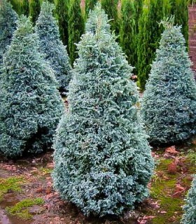 ea23b6da1f1d64ad15200a93444ef306