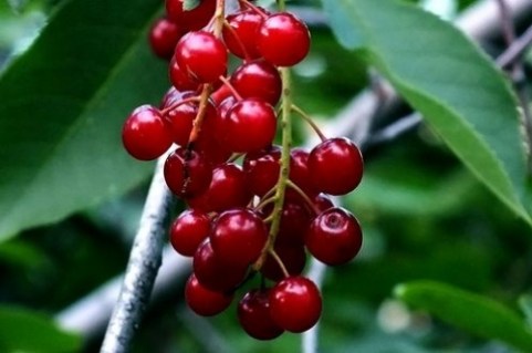 f0ba2bfd8f936a77d3b146acfe9443c7_XL