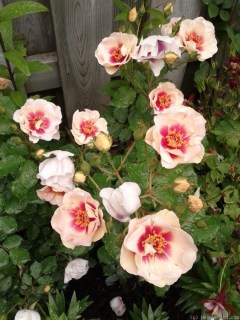 f4013725fb5cdb7ec415f320b5d1f87f