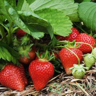 f440cb469275bb00992caae9c3478cb2