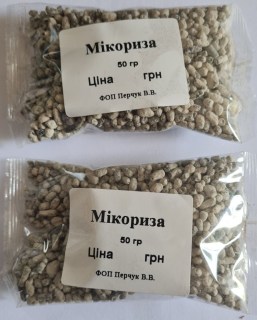 Микориза