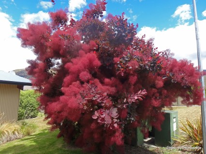 Не встановлено зображення 