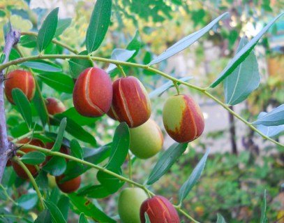 0-02-05-f0ff223be001d77e963eadf87b59744dadd711e6e7b9eeb4d360fda7c17f61f9_40754bb2