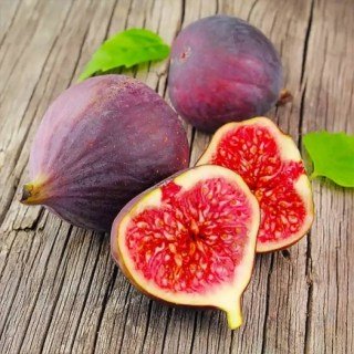 000000575_inzhyr-neapolitanskuy-xW