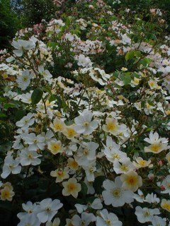 0a3921fb8a3684e5eda146e464cccb1d