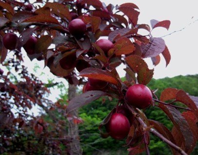 0b1d4ea61e37f2a9bb52e652ad3b8424