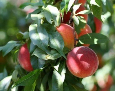 1689921575_168992157582