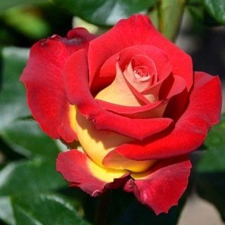 1708923049_w640_h640_1708923049