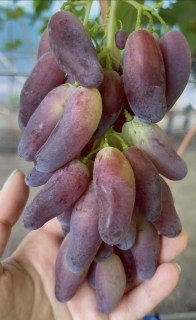 2022-09-25_15-27-18-790