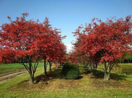 28c57955e56320c2d685907d0215f0ae