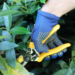 295-200-016_Z19_work2