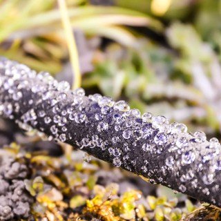 Шланг капілярний 1/2